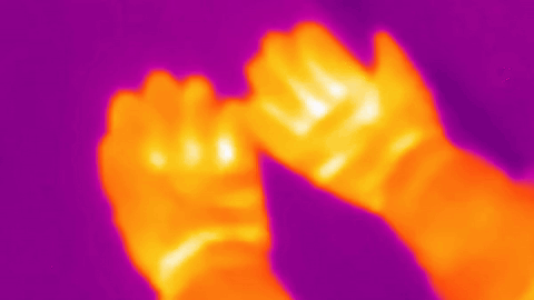 Thermal demonstration of hands and gloves